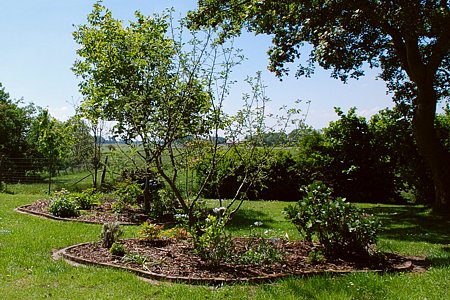 Foto aus der Fotogruppe 