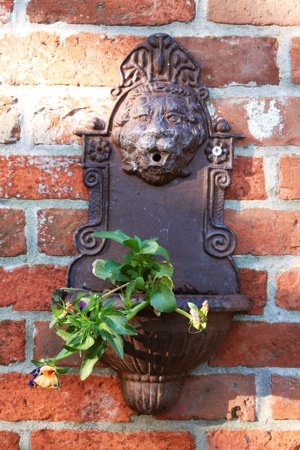 Foto aus der Fotogruppe 