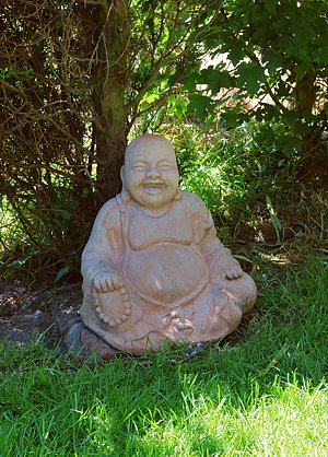 Foto aus der Fotogruppe 