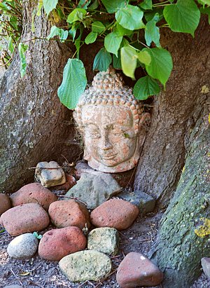 Foto aus der Fotogruppe 