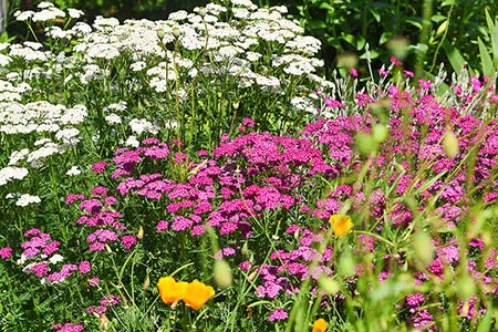 Foto aus der Fotogruppe 