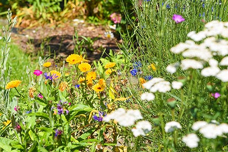 Foto aus der Fotogruppe 