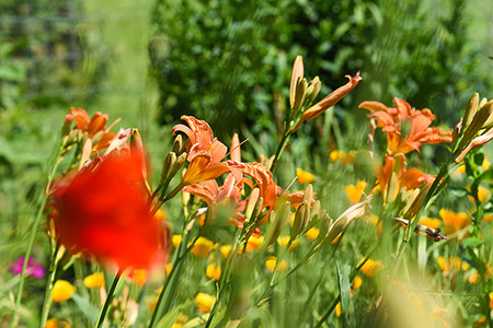 Foto aus der Fotogruppe 