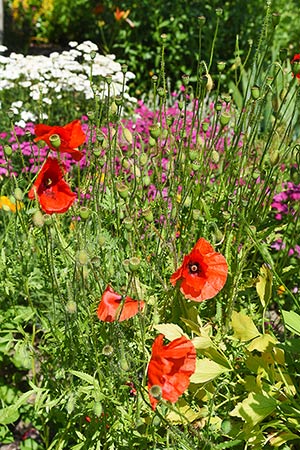 Foto aus der Fotogruppe 