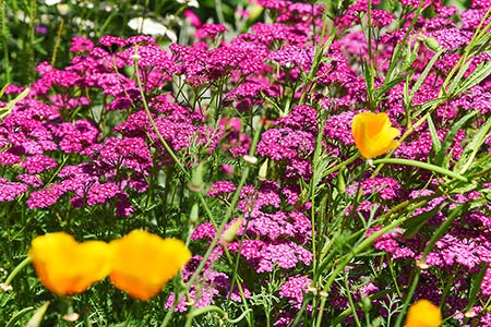 Foto aus der Fotogruppe 