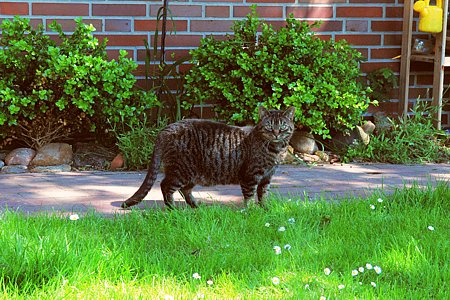 Foto aus der Fotogruppe 