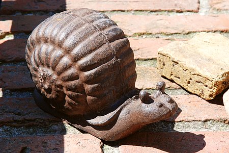 Foto aus der Fotogruppe 