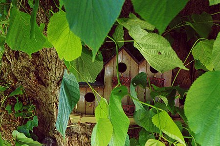 Foto aus der Fotogruppe 